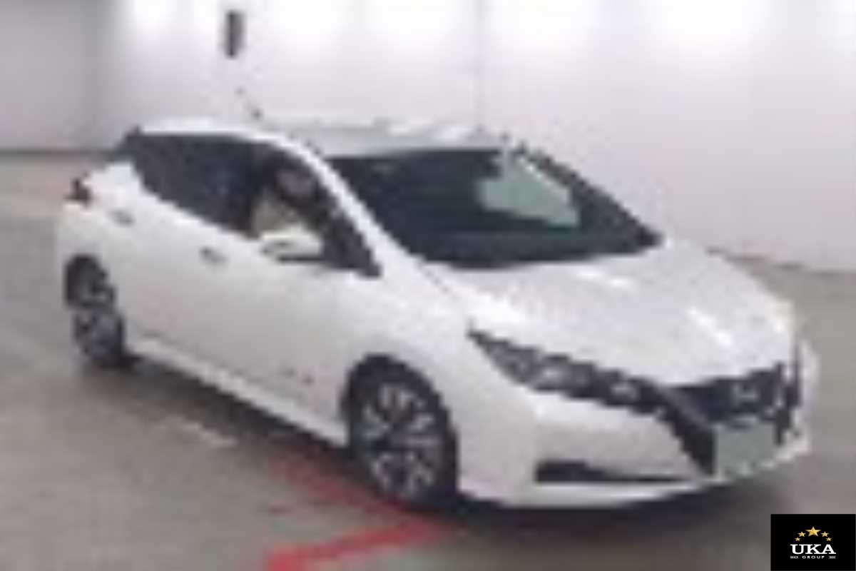 2019 Nissan Leaf