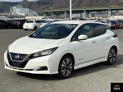 2019 Nissan Leaf - Thumbnail