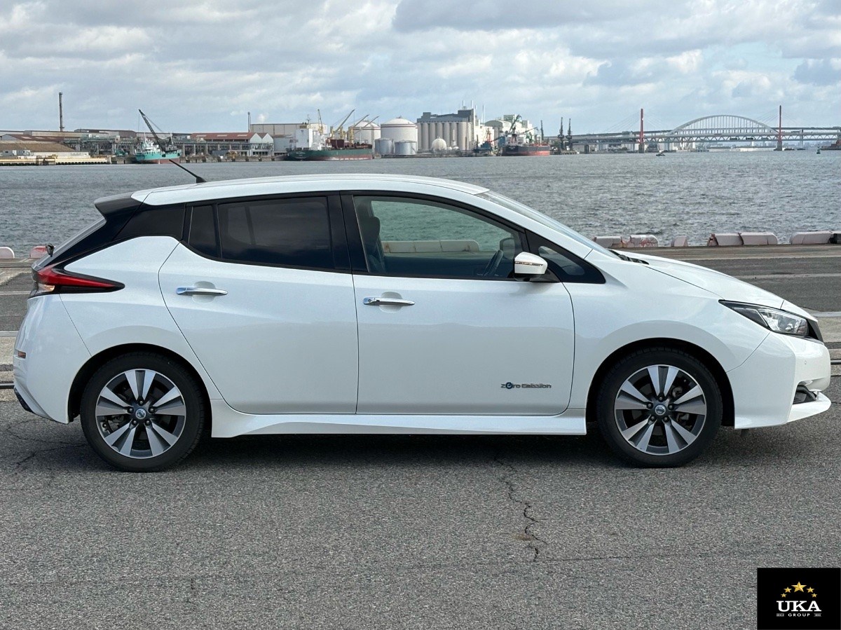 2019 Nissan Leaf