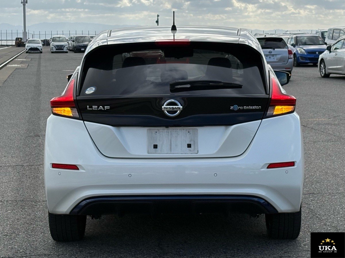 2019 Nissan Leaf