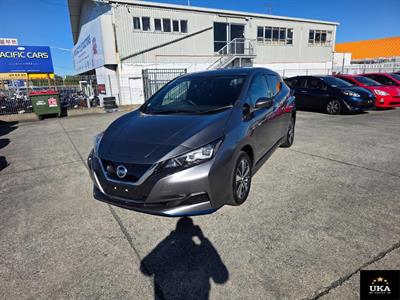 2021 Nissan Leaf
