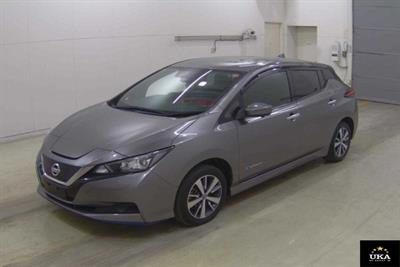 2021 Nissan Leaf - Thumbnail