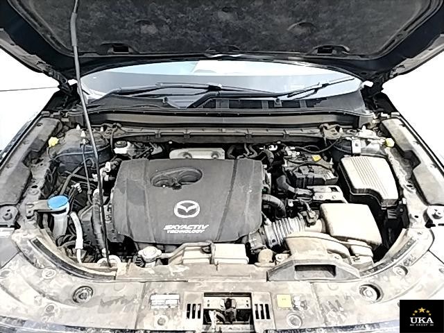 2019 Mazda CX-8