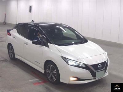 2020 Nissan Leaf