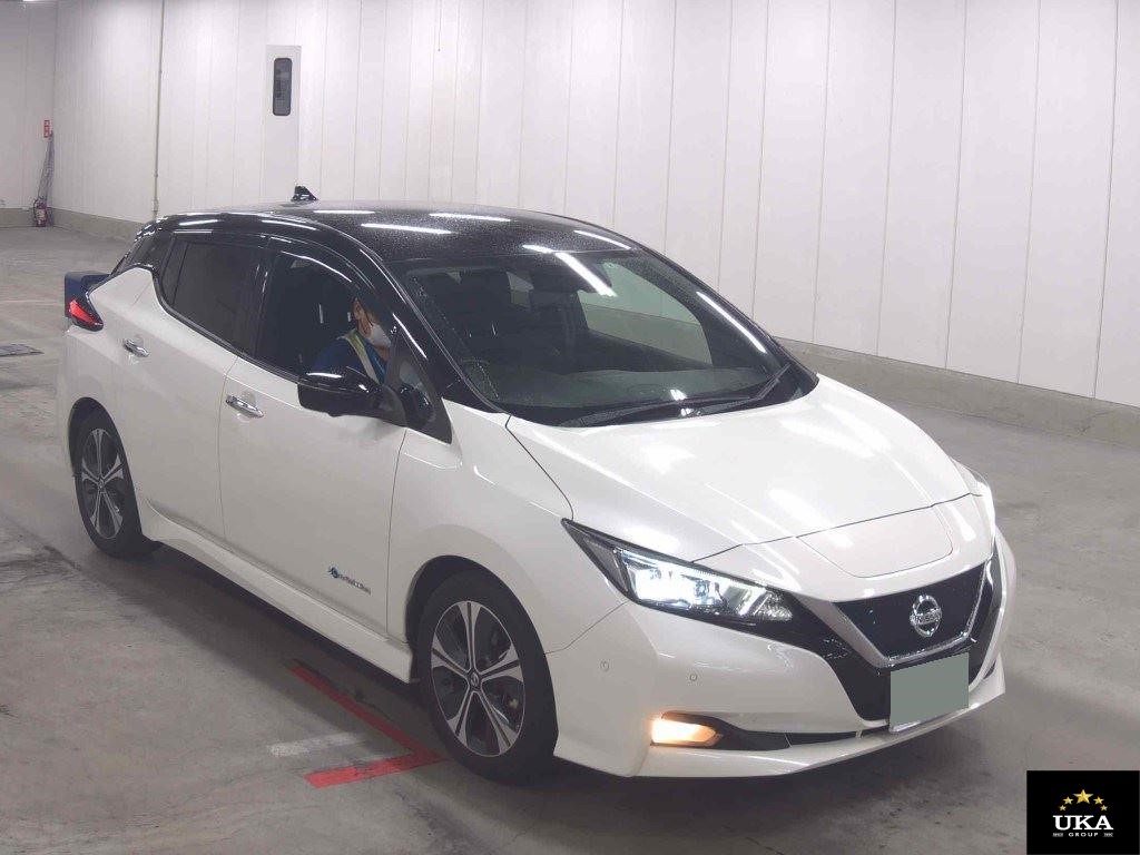 2020 Nissan Leaf