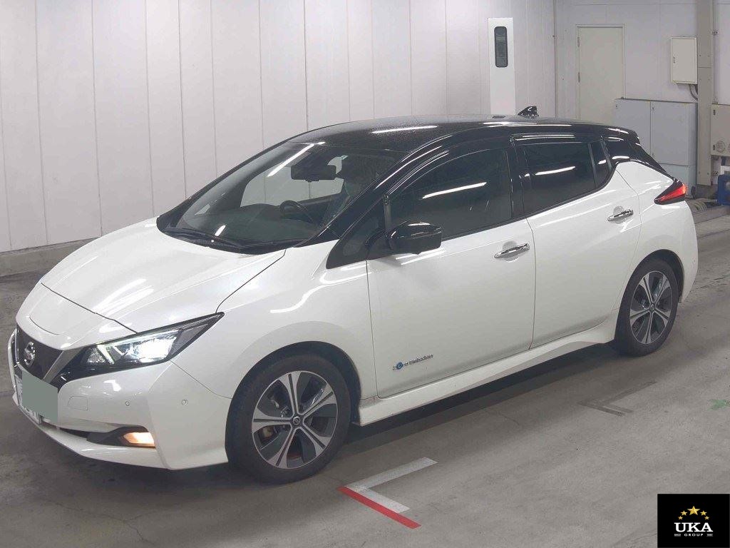 2020 Nissan Leaf