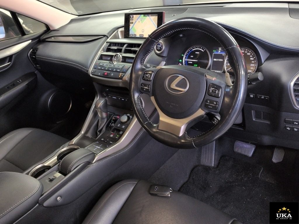 2015 Lexus NX 300h