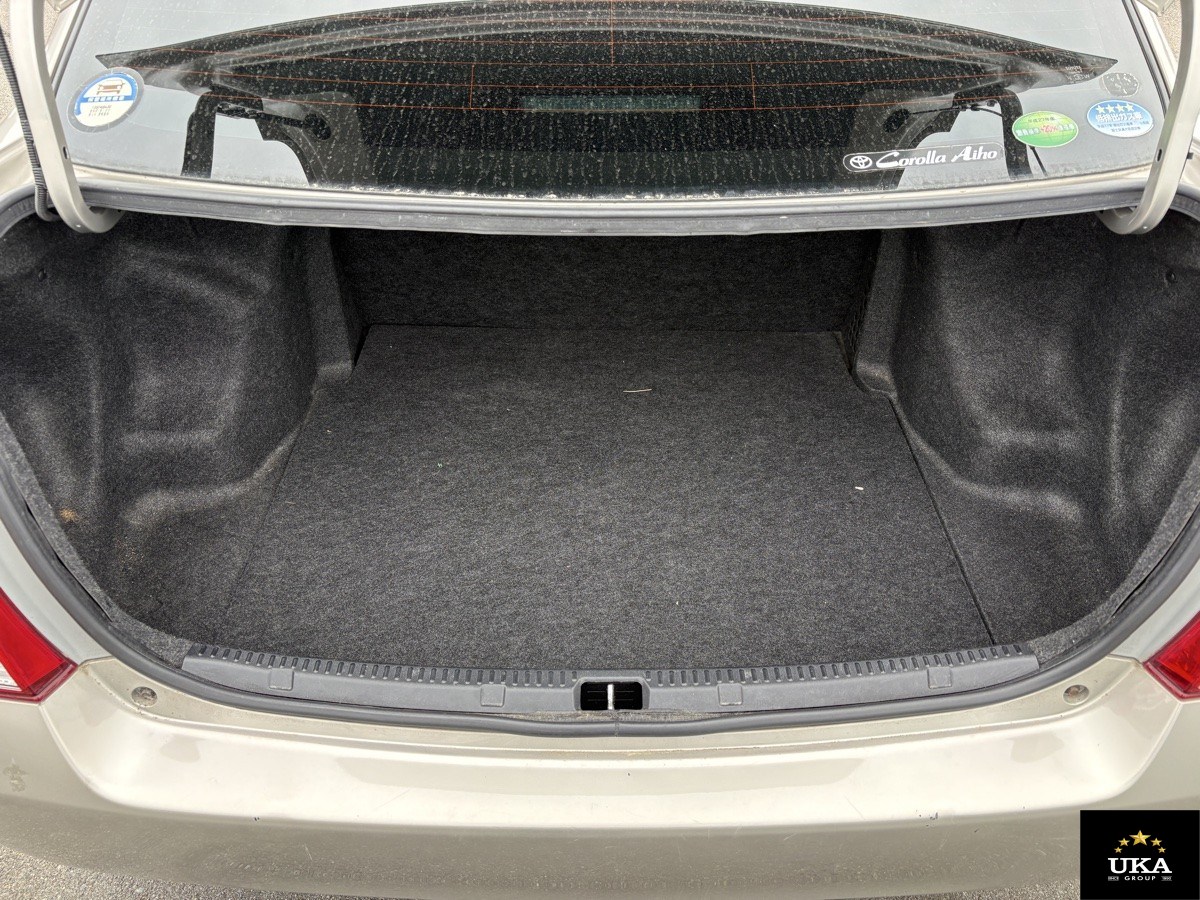 2013 Toyota Axio