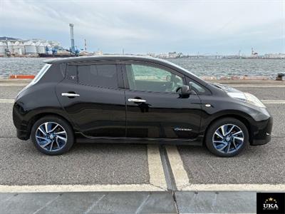 2014 Nissan Leaf - Thumbnail