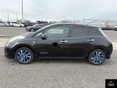 2014 Nissan Leaf - Thumbnail